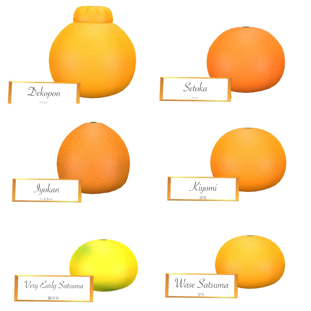 いろいろみかん|果実3Dアセットセット(全6種・展示用ラベル付き)
