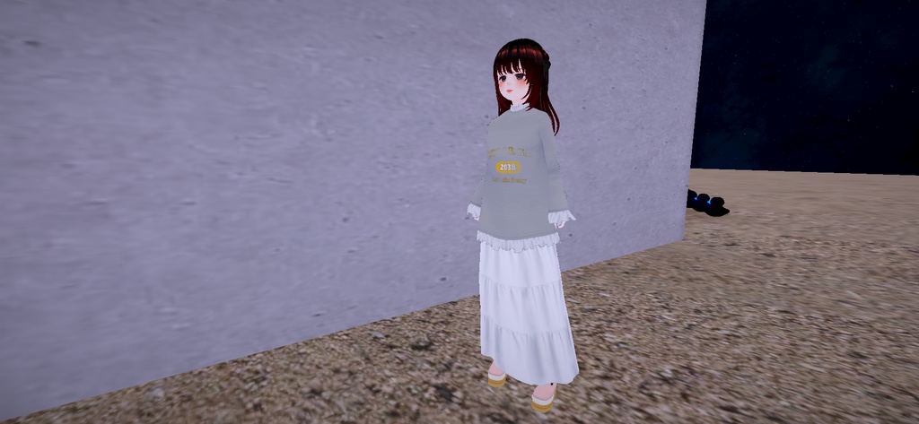 アバター衣装(ベスト、スウェット、ワイドパンツ、スカート、靴)