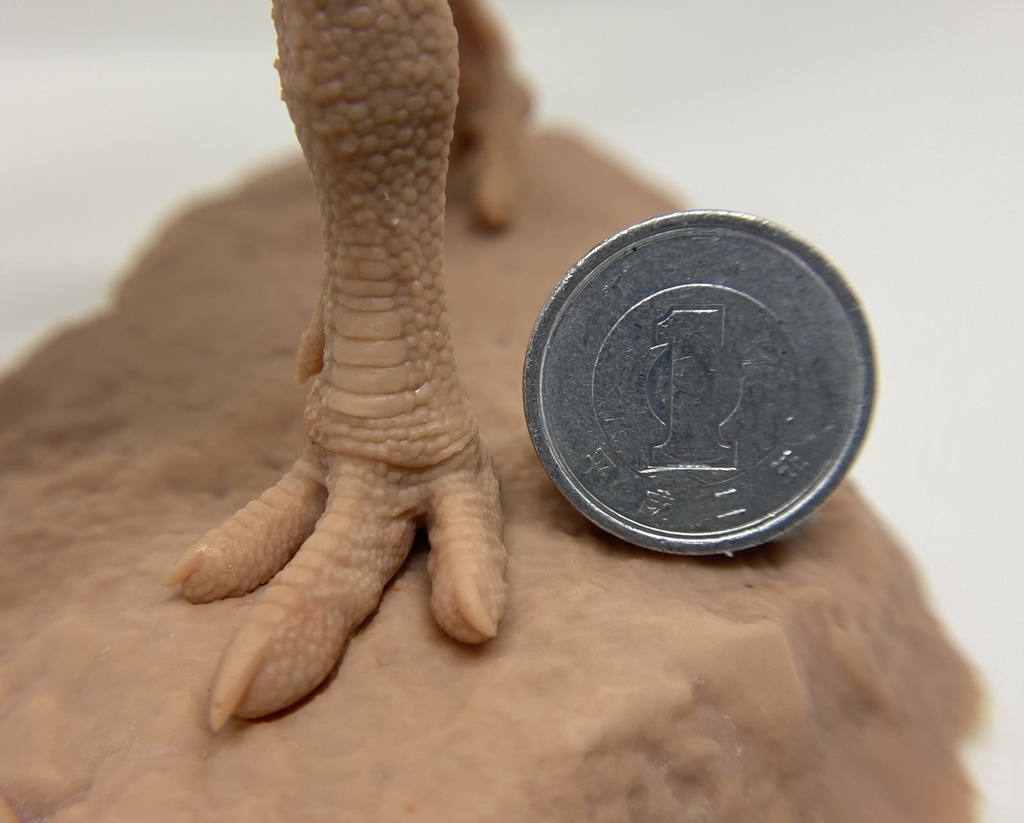 幼体カルノタウルス ガレージキット 未塗装フィギュア