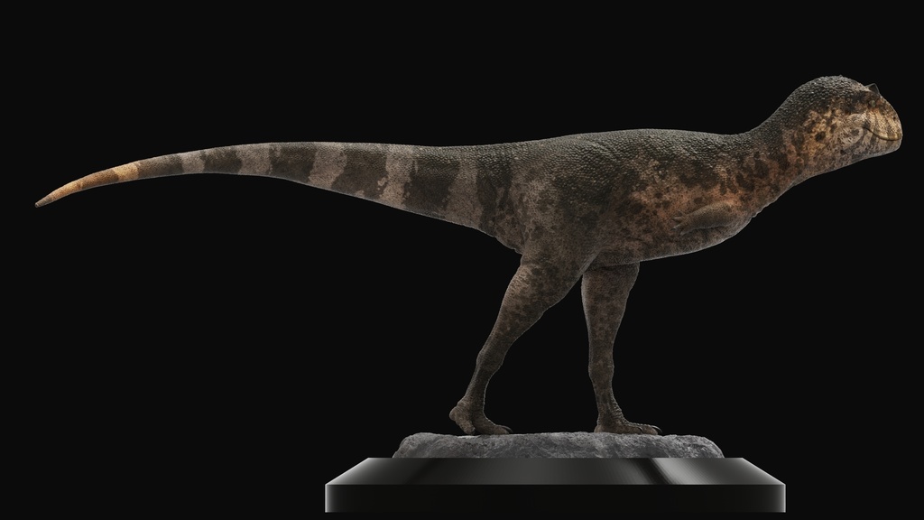 幼体カルノタウルス ガレージキット 未塗装フィギュア