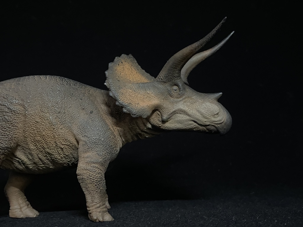 トリケラトプス ガレージキット 塗装済みフィギュア B