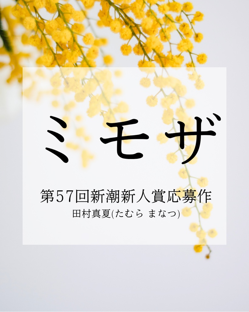 【Free DL】小説「ミモザ」