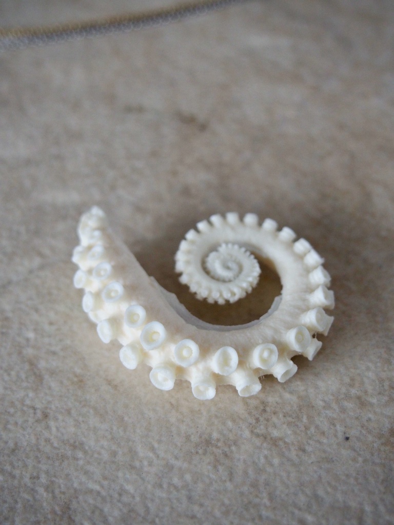 未塗装ガレージキット マダコくるん腕【本物のマダコを型取り】