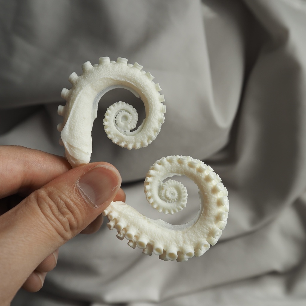 未塗装ガレージキット マダコくるん腕【本物のマダコを型取り】