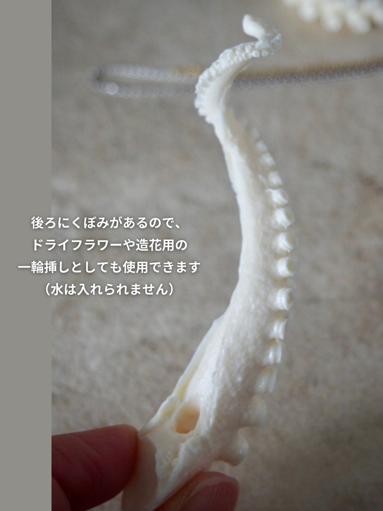 未塗装ガレージキット マダコ一輪挿し【本物のマダコを型取り】