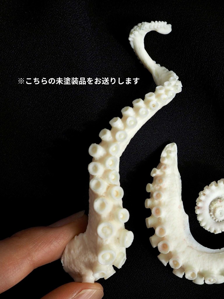 未塗装ガレージキット マダコ一輪挿し【本物のマダコを型取り】