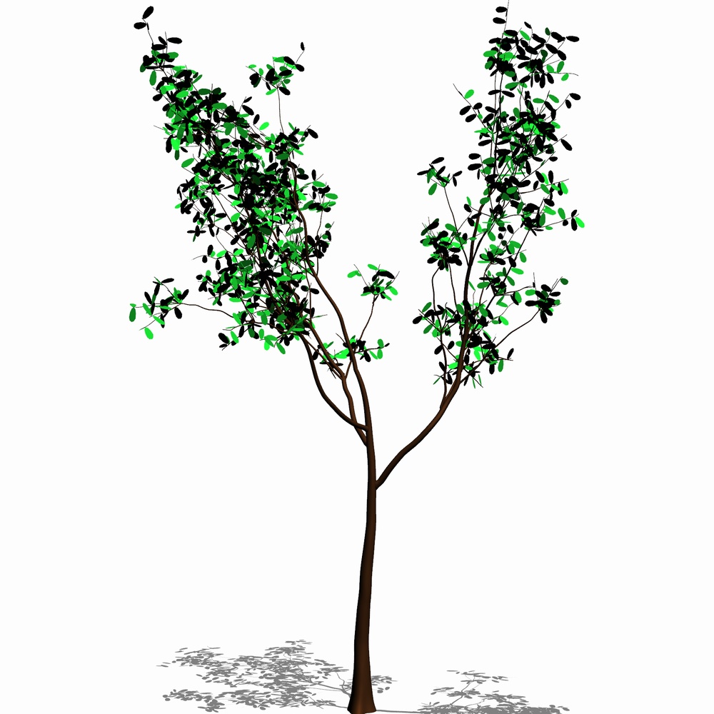 クリスタ用 樹木と草の森林セットVol.1