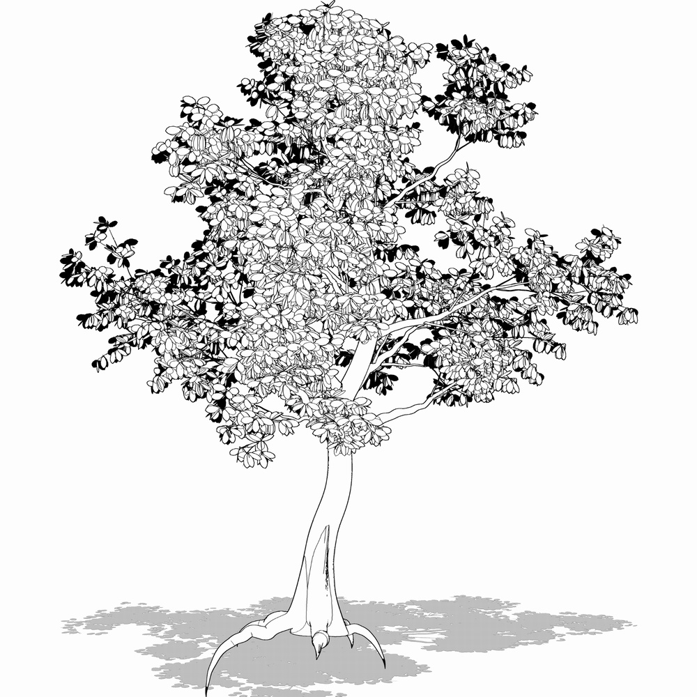 クリスタ用 樹木と草の森林セットVol.1