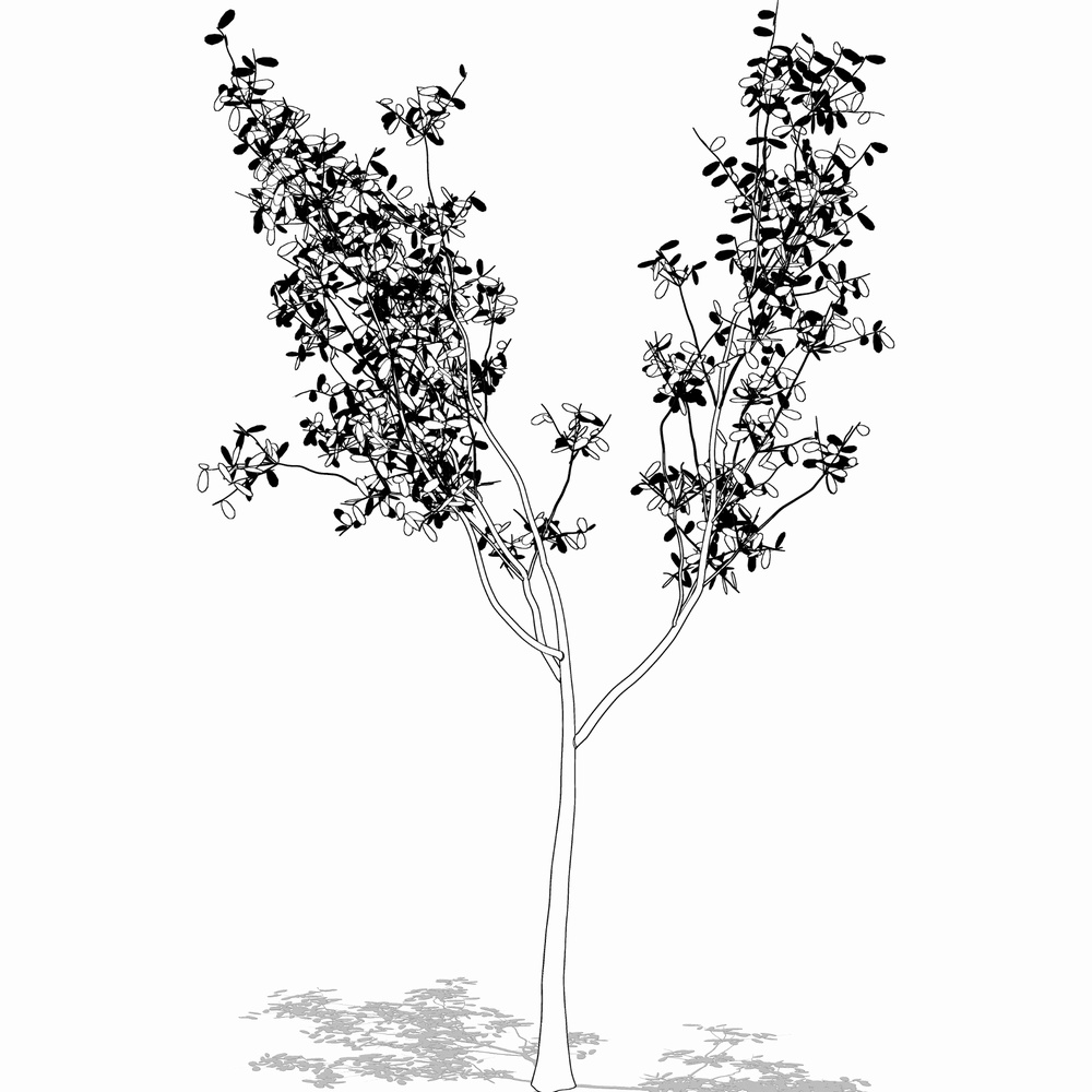 クリスタ用 樹木と草の森林セットVol.1