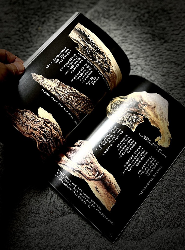 絵獅匡:龍原画・龍雲写真集 おまけつき