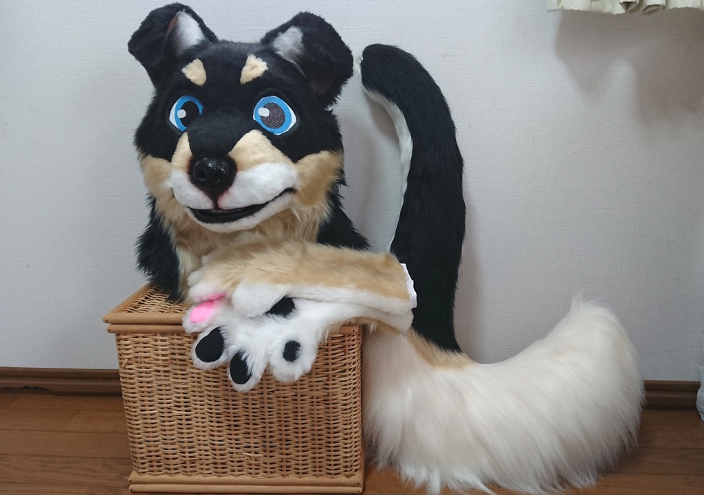 シェルティ 着ぐるみ