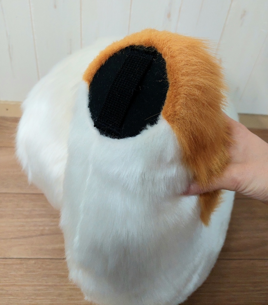 柴犬 尻尾(長毛)