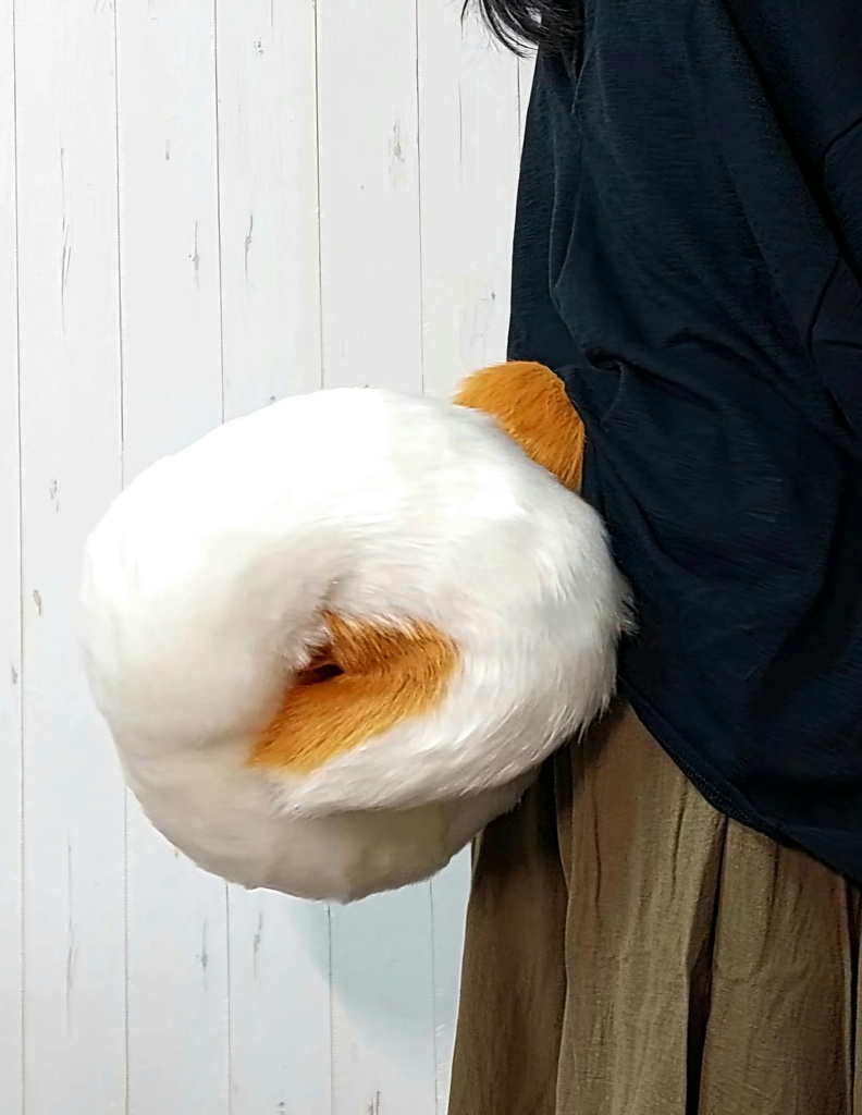 柴犬 尻尾(長毛)