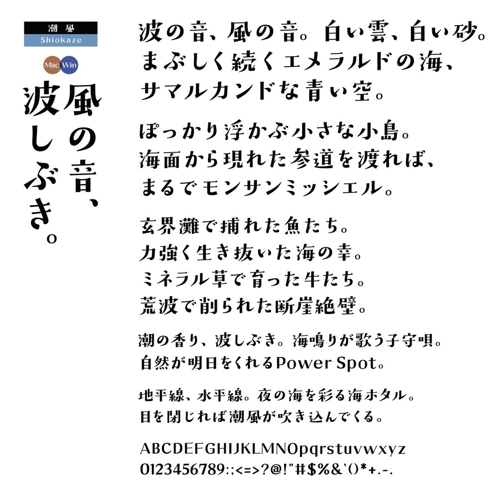 DS青風+潮風 2書体セット Mac・Win