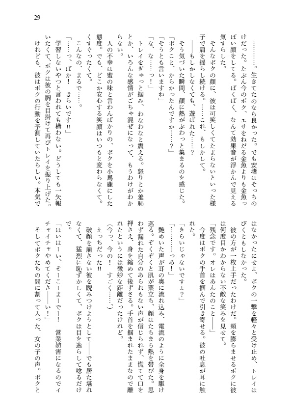 魔法少女ですか?いいえ、マジカルプルンセスです!3