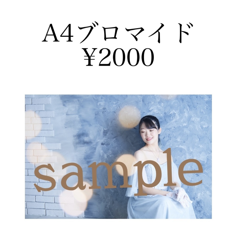 GadgetさんA4ブロマイド