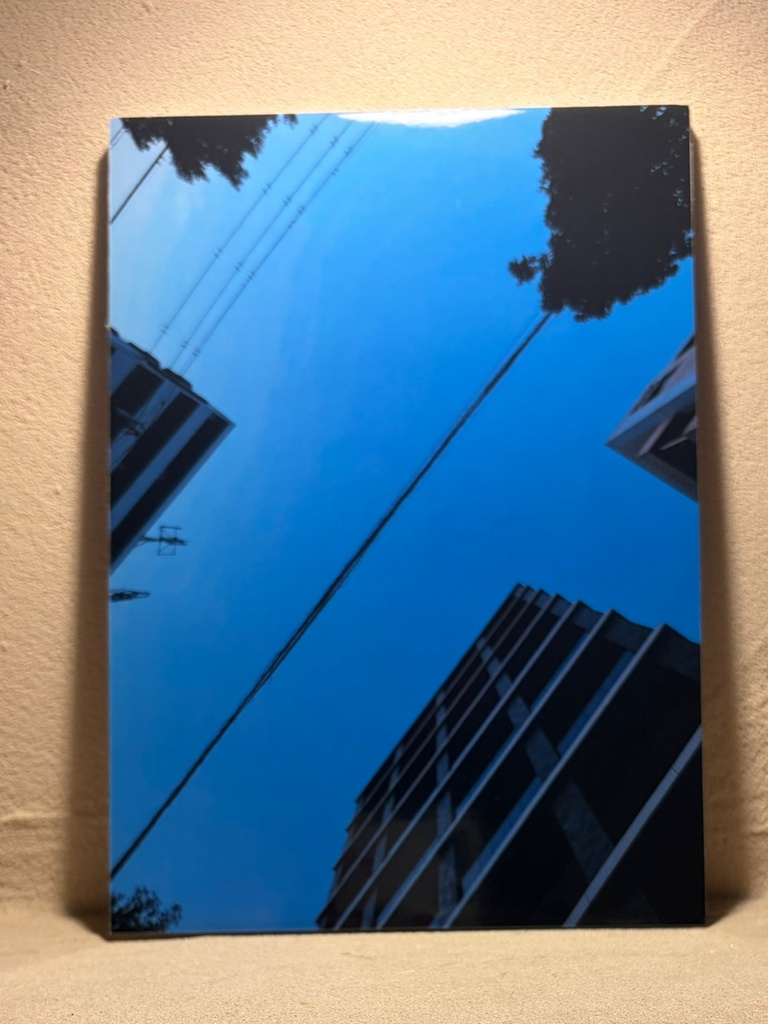 写真パネル大②