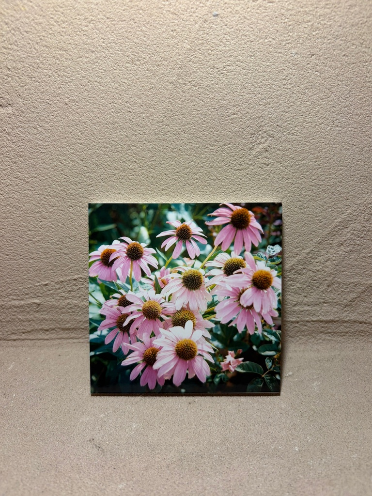 写真パネル小②