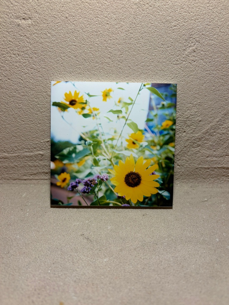 写真パネル小④