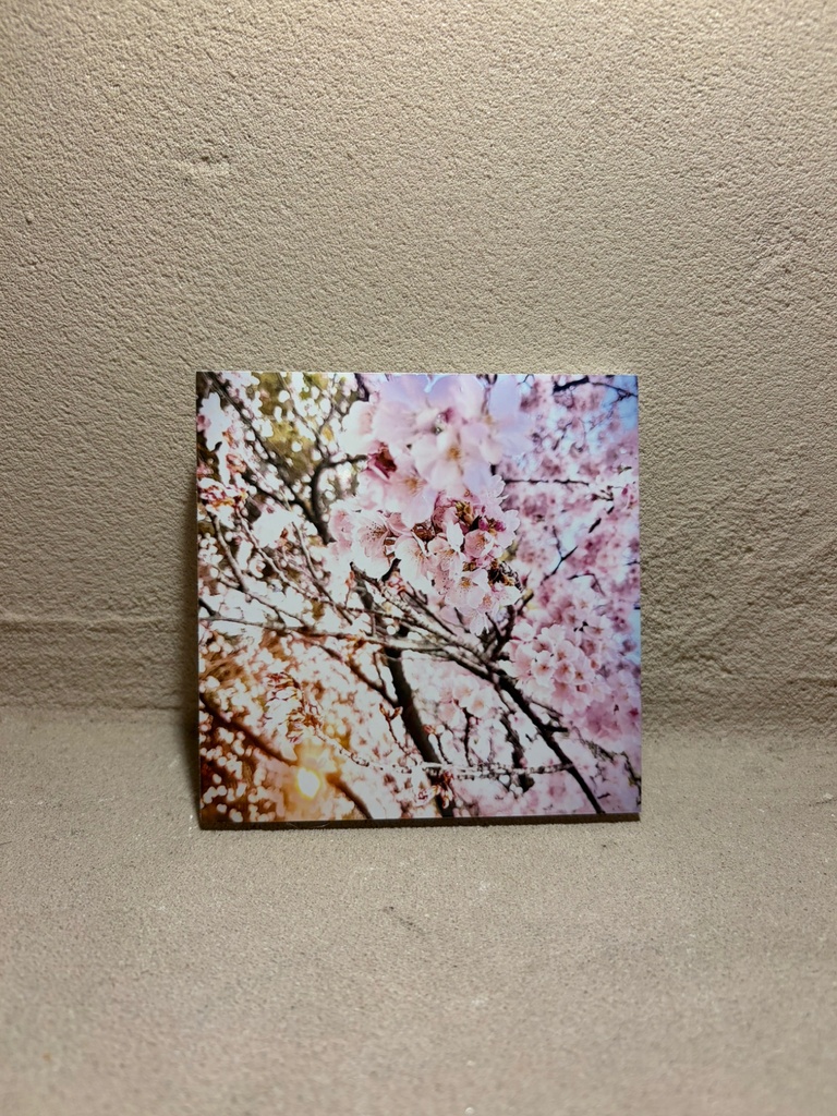 写真パネル小⑤