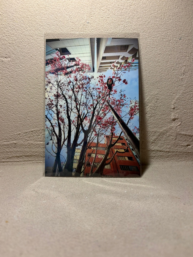 ポストカード②