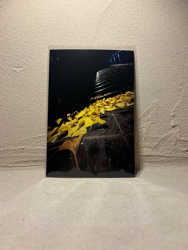 ポストカード⑤
