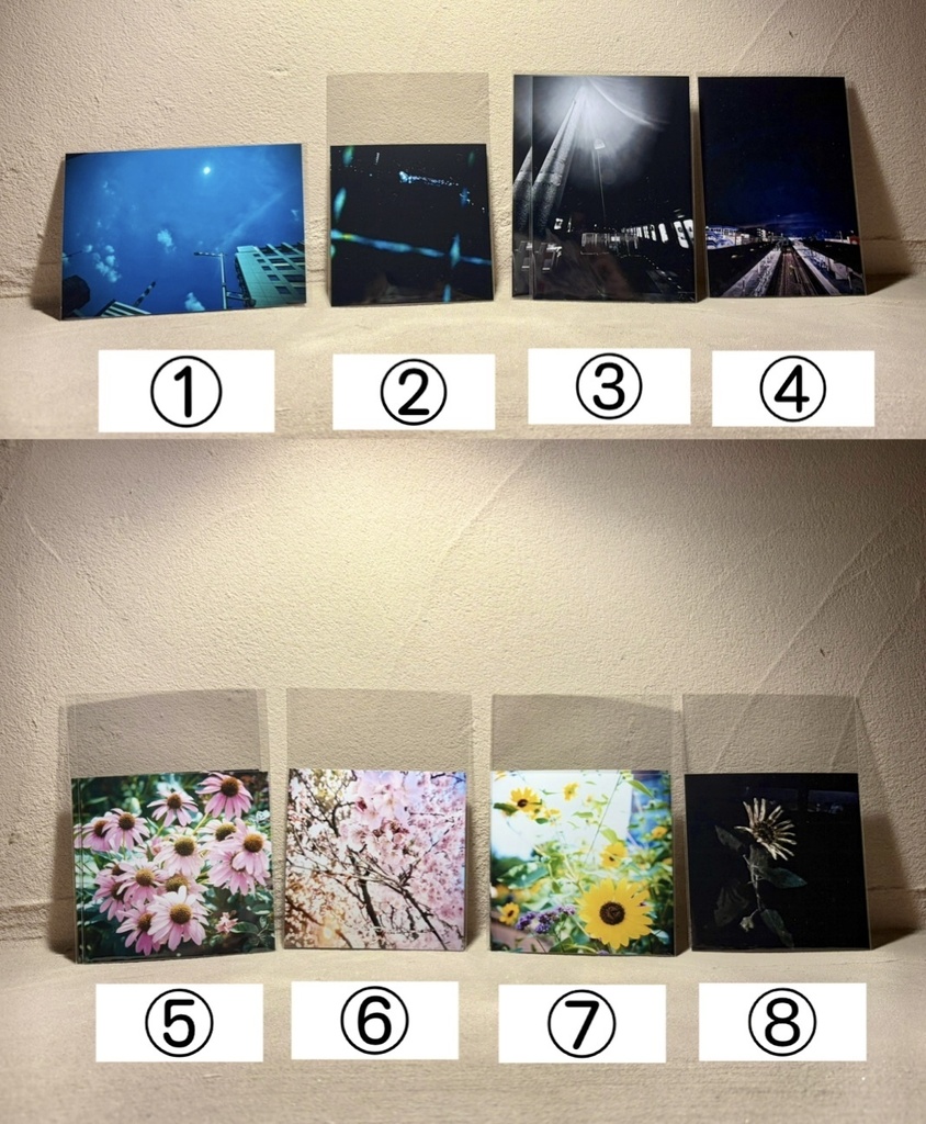 写真ブロマイド(各種)