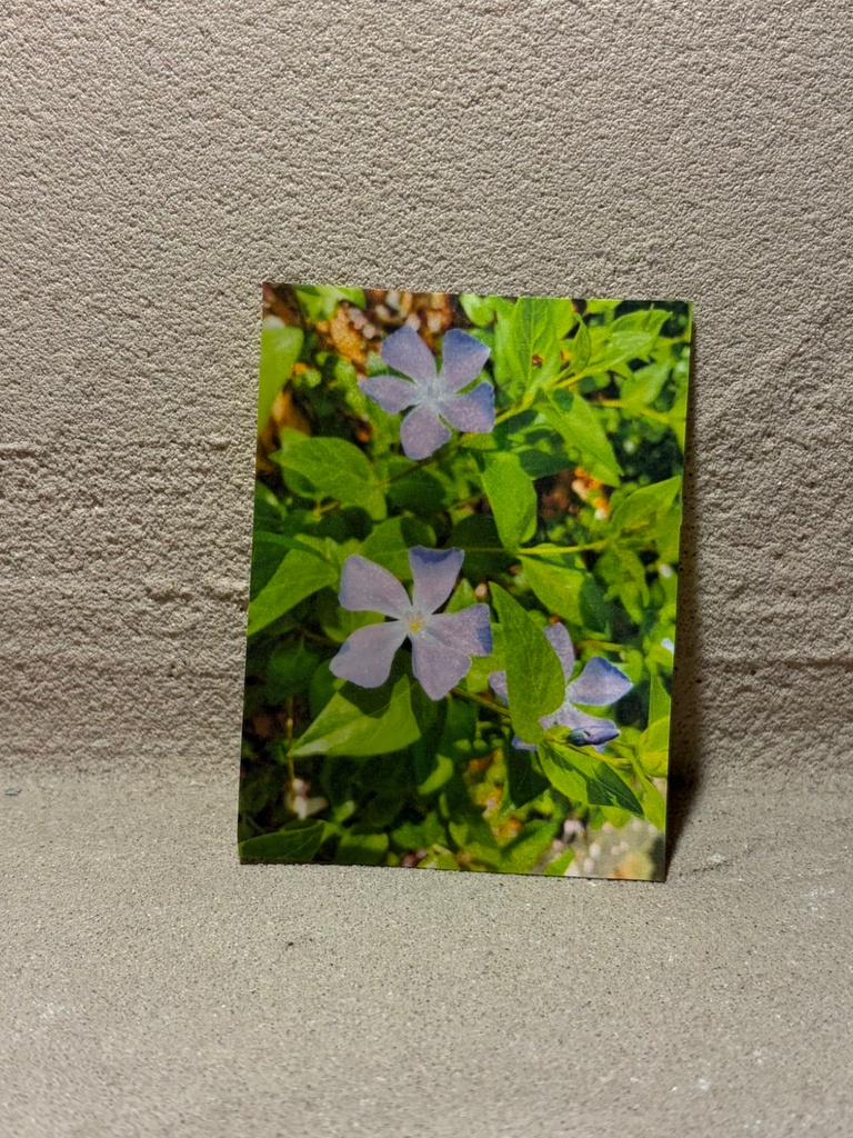 ろうびきペーパー(写真)小