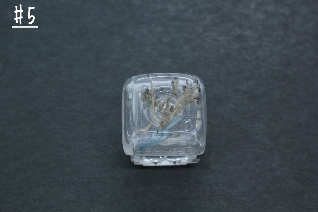 キーキャップ Series:Botany