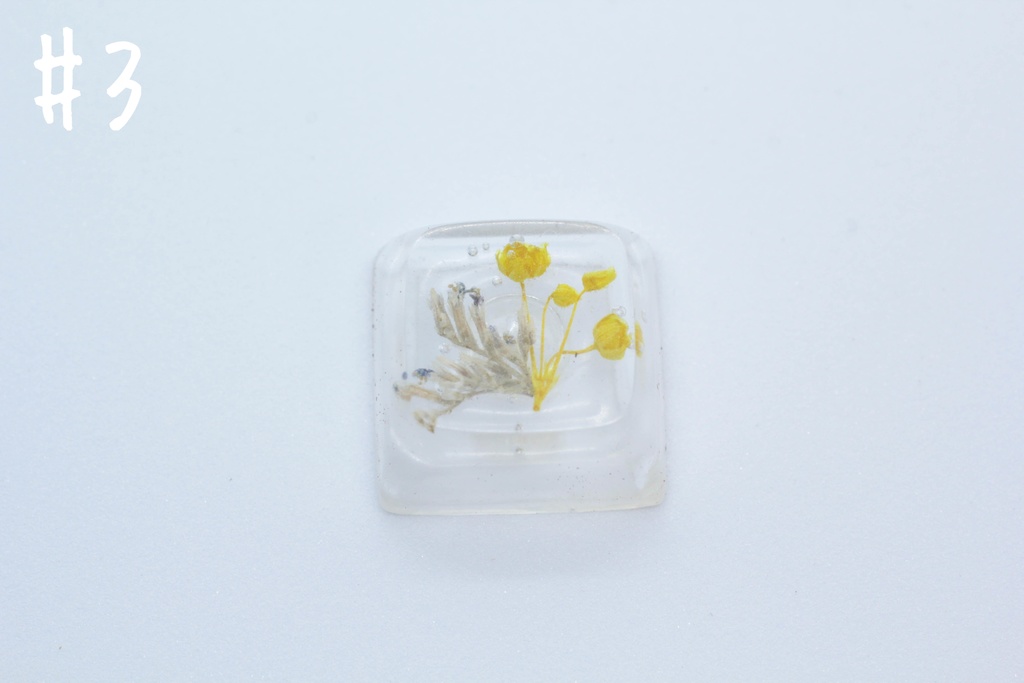 キーキャップ Series:Botany