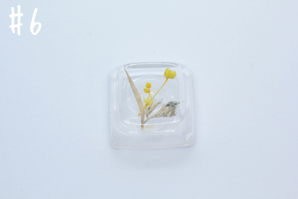 キーキャップ Series:Botany