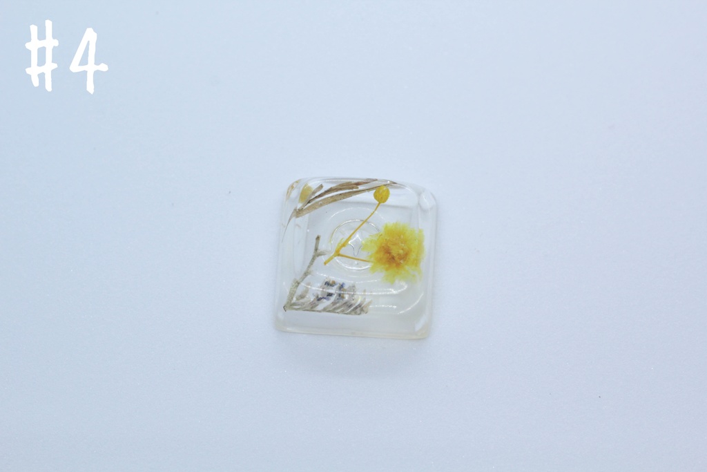 キーキャップ Series:Botany