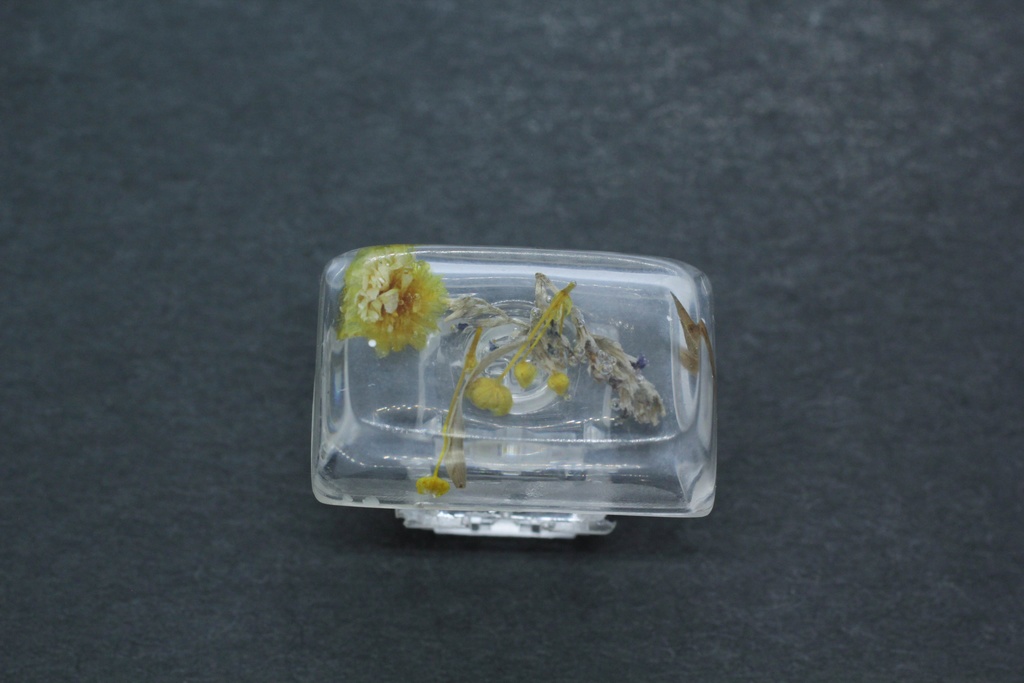 キーキャップ Series:Botany