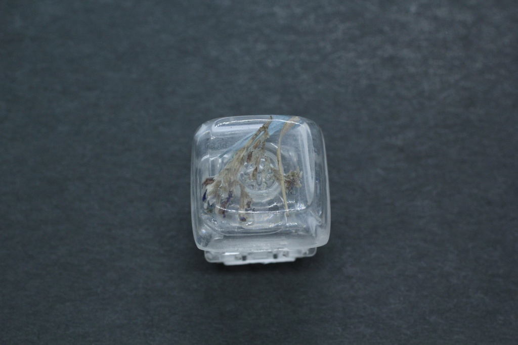 キーキャップ Series:Botany