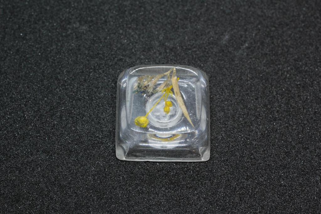 キーキャップ Series:Botany