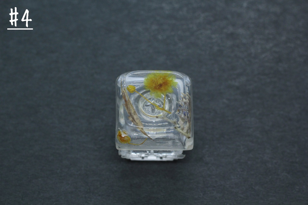 キーキャップ Series:Botany