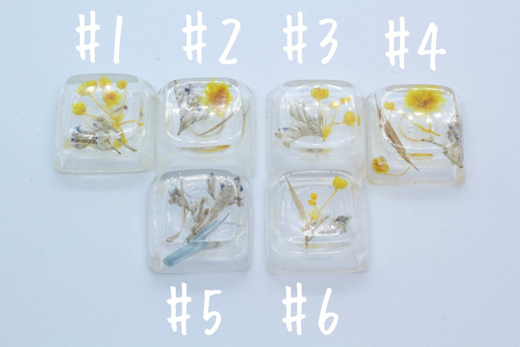 キーキャップ Series:Botany