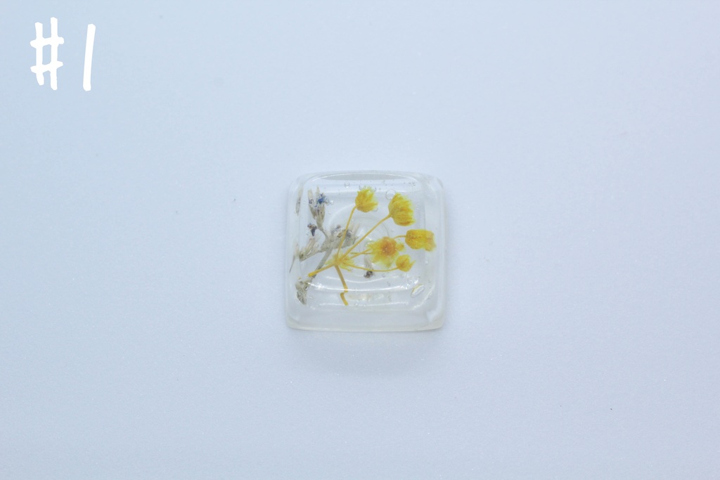 キーキャップ Series:Botany