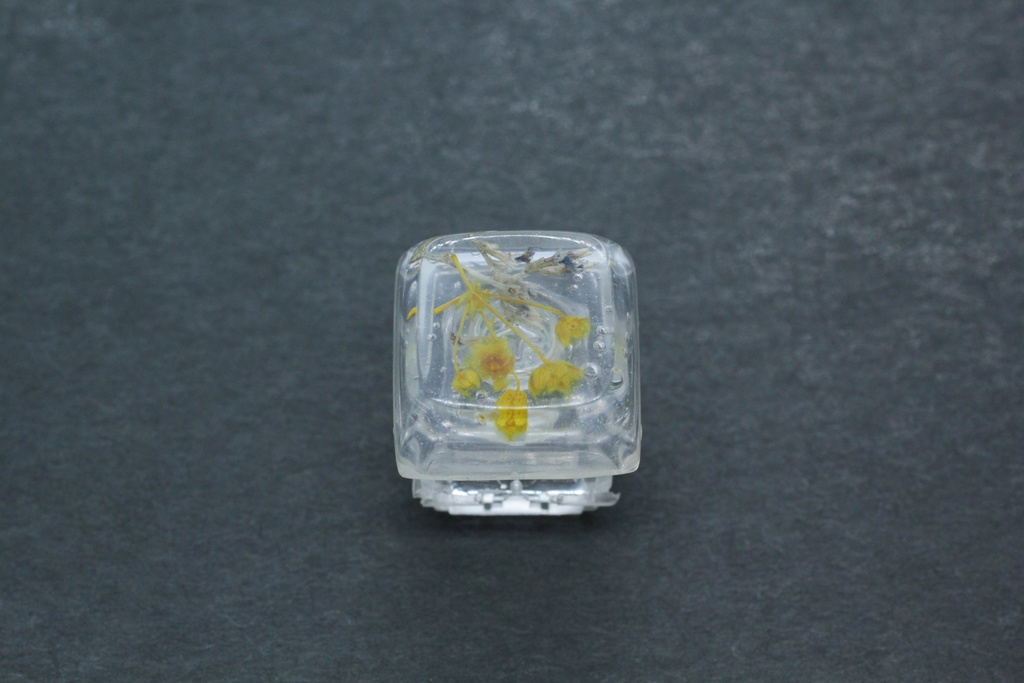 キーキャップ Series:Botany