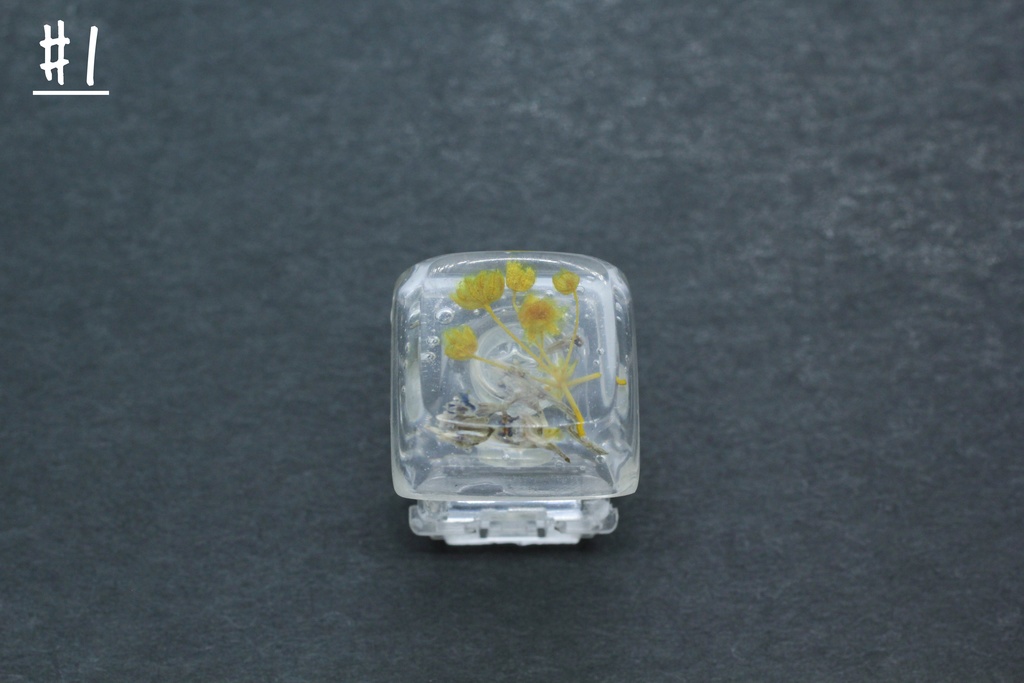 キーキャップ Series:Botany