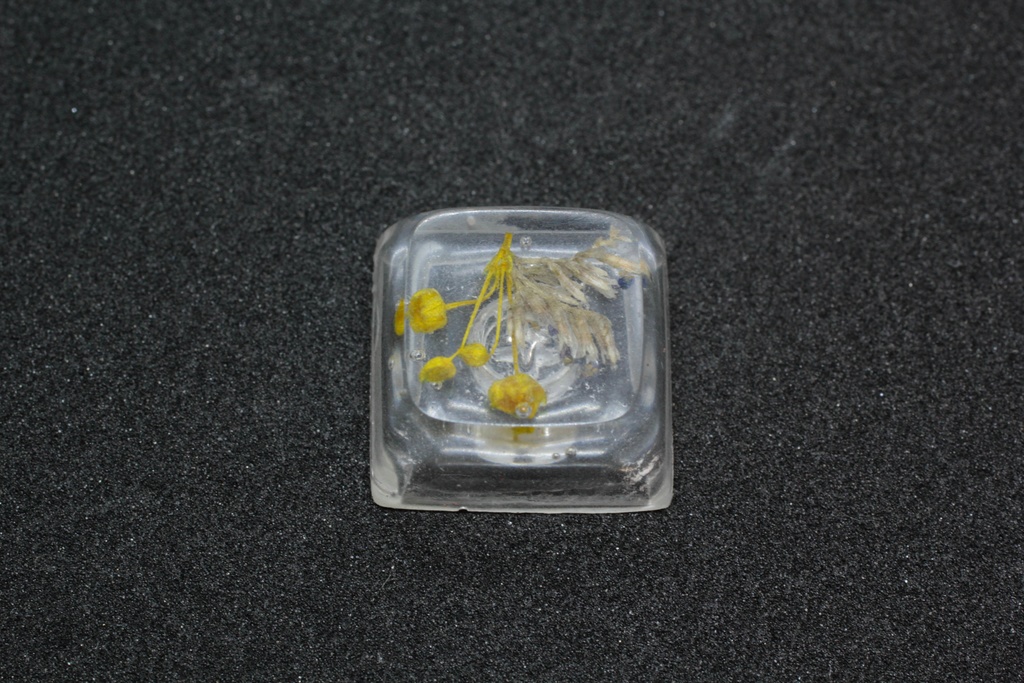 キーキャップ Series:Botany