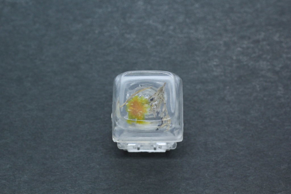 キーキャップ Series:Botany