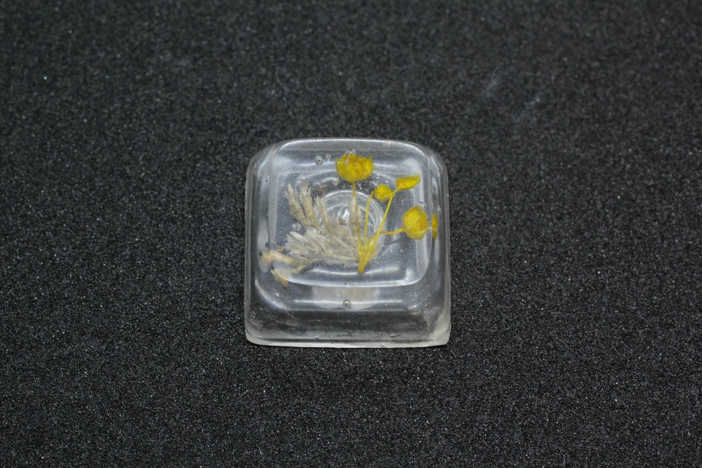 キーキャップ Series:Botany