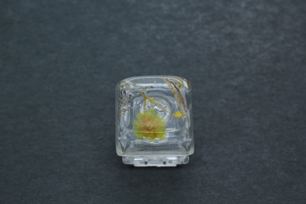 キーキャップ Series:Botany