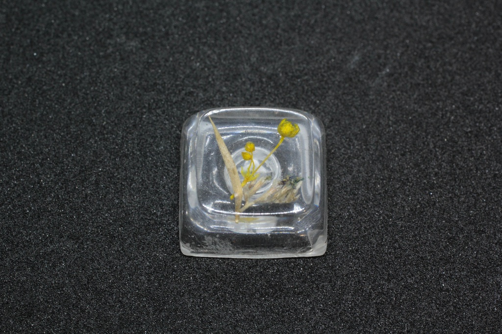 キーキャップ Series:Botany