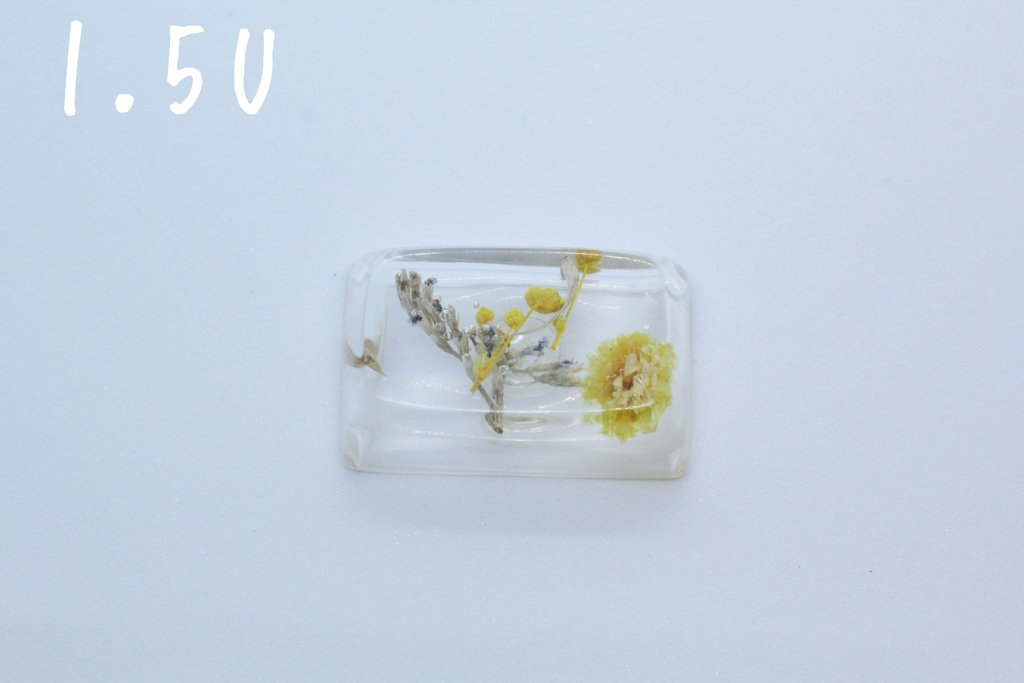 キーキャップ Series:Botany