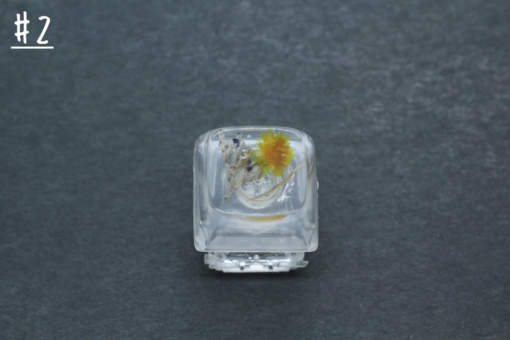 キーキャップ Series:Botany