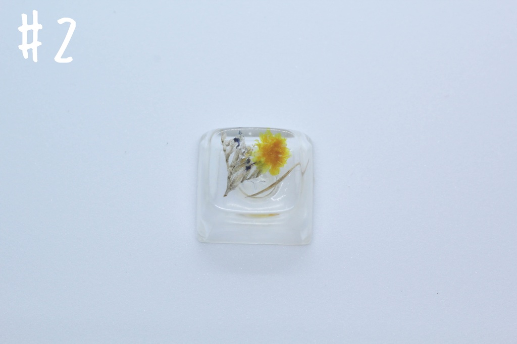 キーキャップ Series:Botany