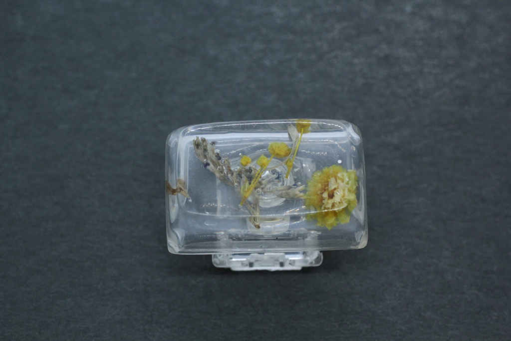 キーキャップ Series:Botany