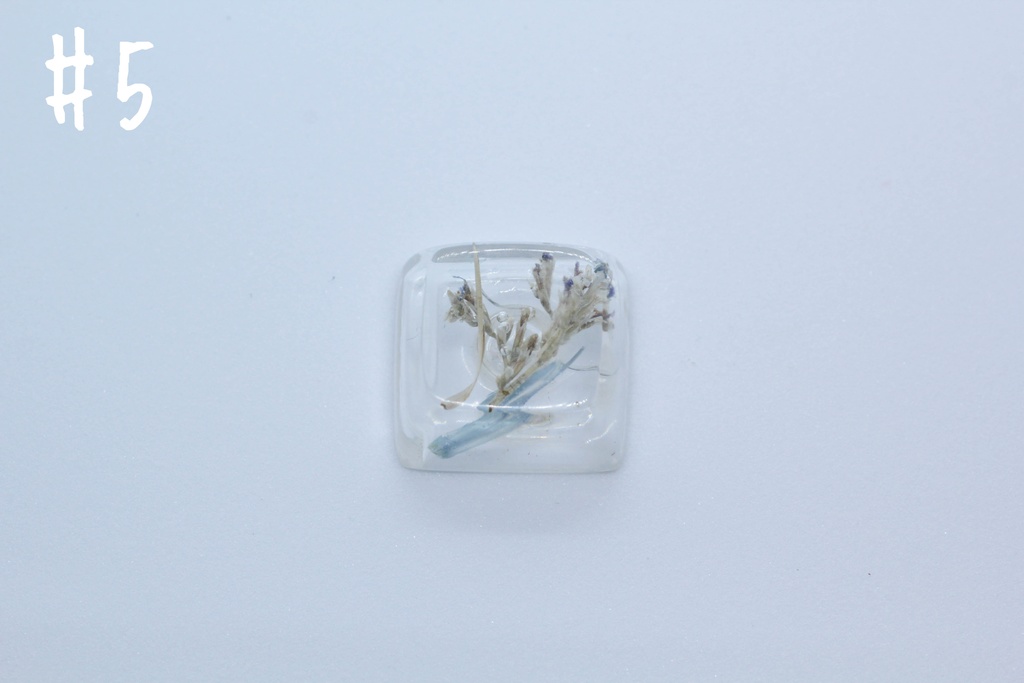 キーキャップ Series:Botany